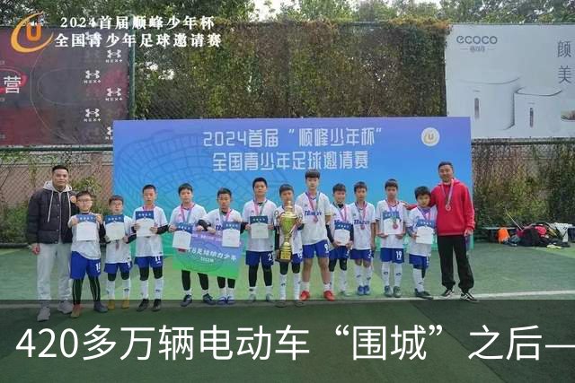 420多万辆电动车“围城”之后——武汉“路权之争”调查